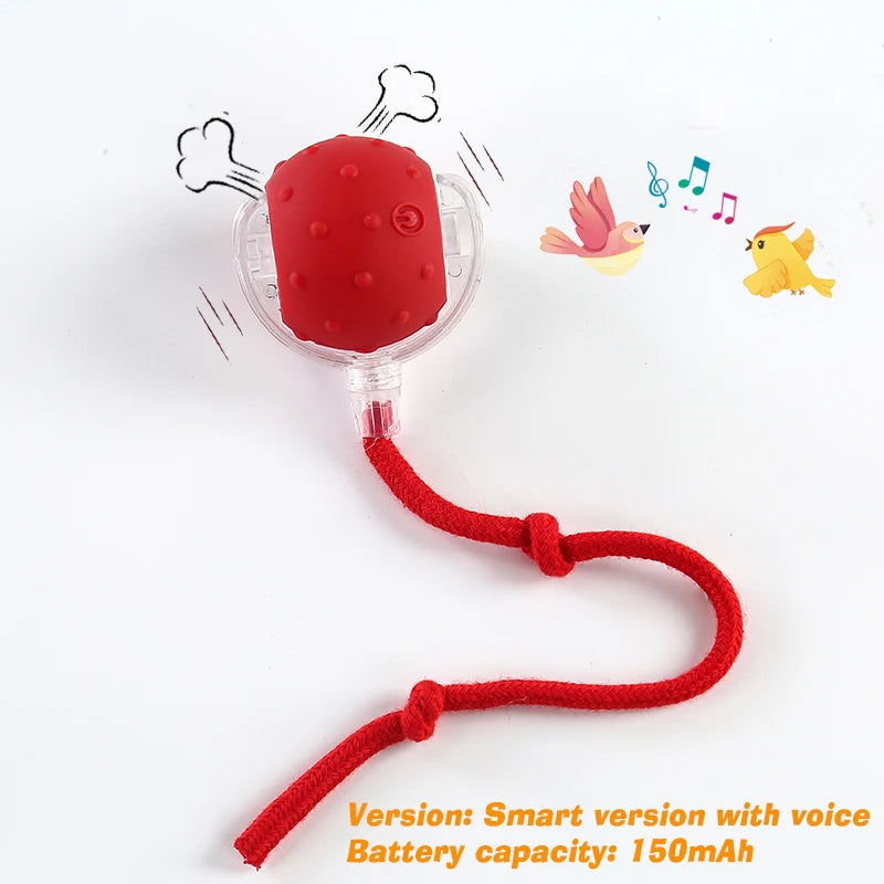 Smart Interactive Cat Ball Toy, Rechargeable Automatic Rolling Ball