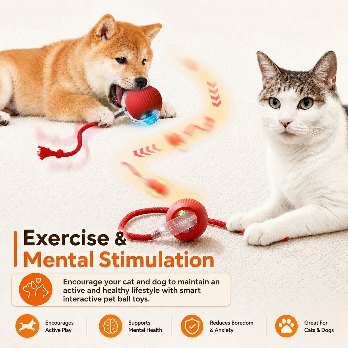 Smart Interactive Cat Ball Toy, Rechargeable Automatic Rolling Ball