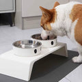 EaseFeed: Elevated Feeding Stand