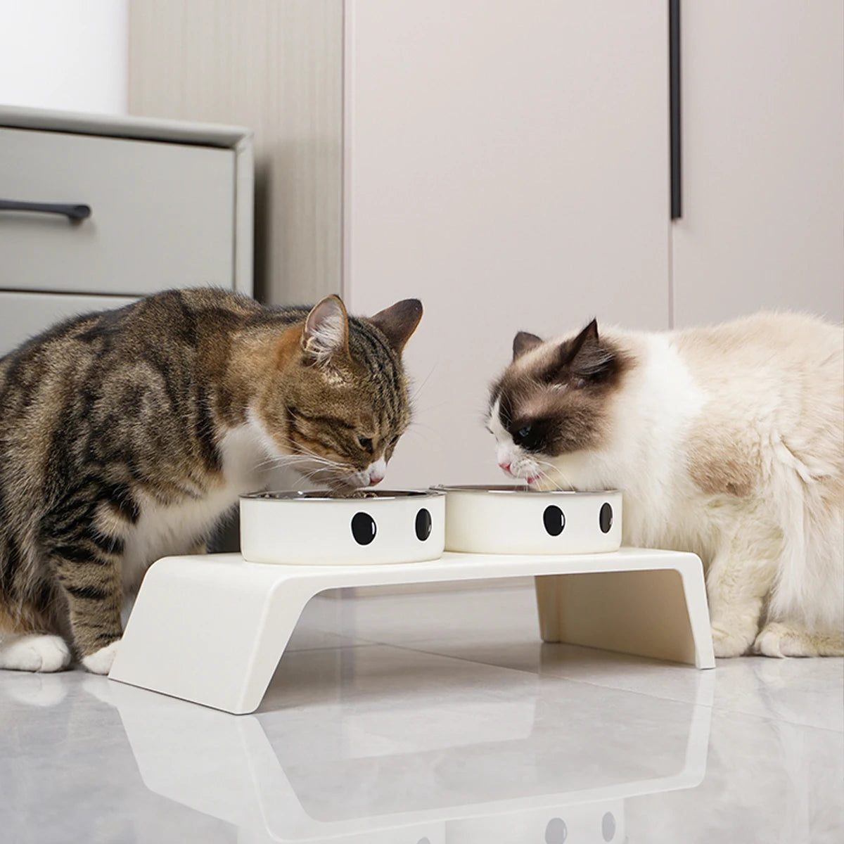 EaseFeed: Elevated Feeding Stand
