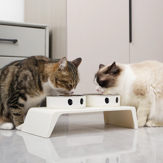 EaseFeed: Elevated Feeding Stand