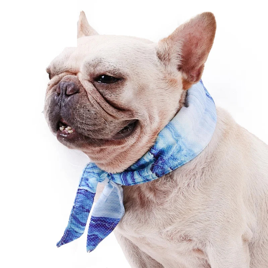 CoolDown Bandana on French Bulldog