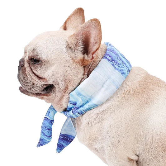 CoolDown Bandana side view on French Bulldog