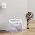 Hush Paws Calm Flow: Cat Water Fountain